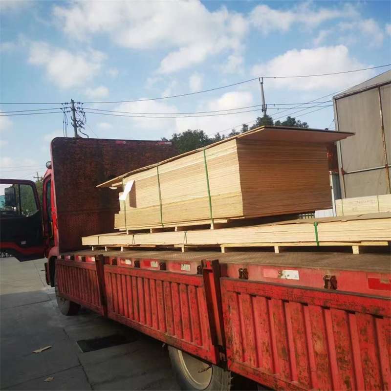 辽宁丹东振安至塔城货运专线，一站式物流服务助您成功